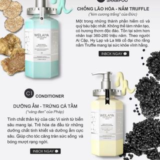 Dầu gội welaiza nấm