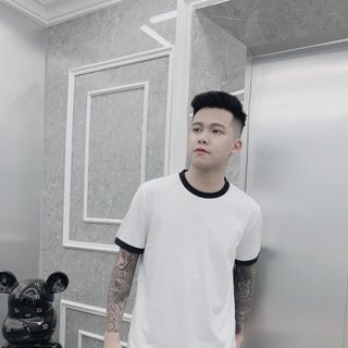 Áo cotton cá sấu 4 chiều