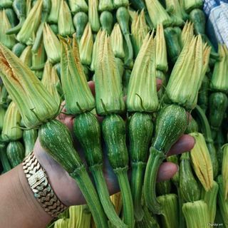 Bí nụ giá sỉ