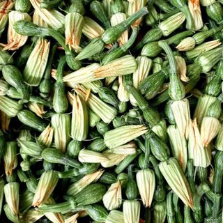 Bí nụ giá sỉ
