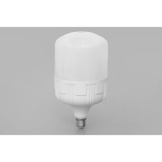Đèn LED bulb công suất lớn Điện Quang ĐQ LEDBU10 10W, chống ẩm