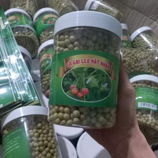Cà gai leo