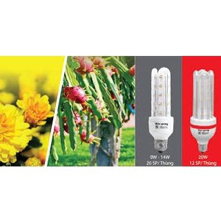 Đèn LED compact Điện Quang ĐQ LEDCP01 09765AW ( 9w, daylight, chống ẩm )