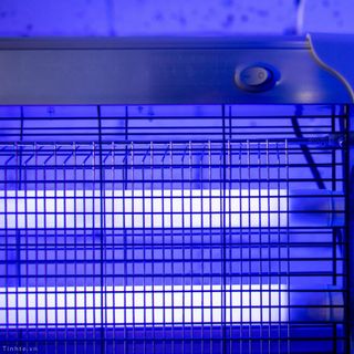 Đèn bắt muỗi Điện Quang EML có thể treo tường