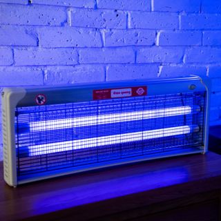 Đèn bắt muỗi Điện Quang EML có thể treo tường