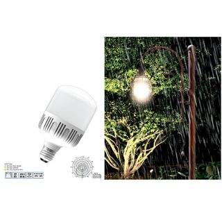 Đèn LED bulb công suất lớn Điện Quang LEDBU10 50W, chống ẩm, tiết kiệm điện