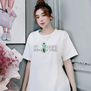 Chuyên sỉ Áo phông cotton khô form oversize dưới 75kg haperrrr Xưởng may YoYo chuyên sỉ áo thun thái