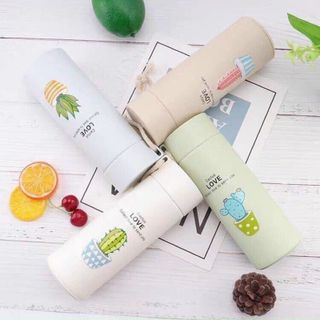Bình nước thủy tinh xương rồng 500ml