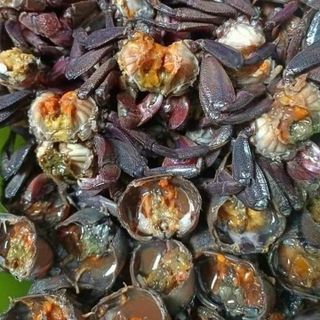 Ba khía muối Cà Mau - LOẠI 1KG GỒM 20 - 28 CON