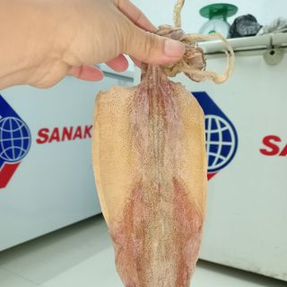 Mực khô câu tay Nghệ An, chuẩn mực câu xịn 100%, dày mình, ngọt, size từ 16-18con/kg và 20-22 con/kg, size vừa