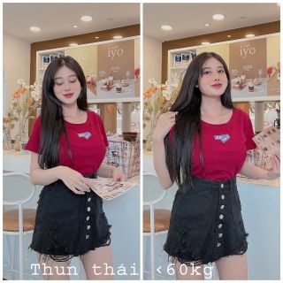 Chuyên sỉ Áo thun thái form dưới 60kg adollol Xưởng may YoYo chuyên sỉ áo thun thái