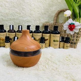 Máy phun sương máy xông hơi tinh dầu