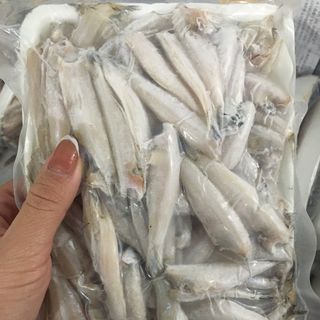 Cá cơm tươi bẻ đầu, size 1kg, cá cơm Nghệ An hàng tươi mới tàu về hàng ngày giá sỉ