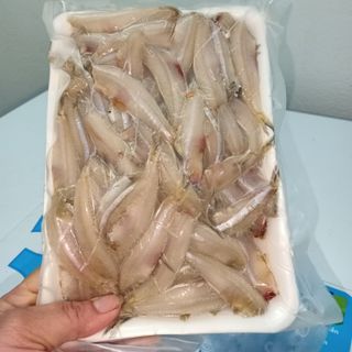 Cá cơm tươi bẻ đầu, size 1kg, cá cơm Nghệ An hàng tươi mới tàu về hàng ngày