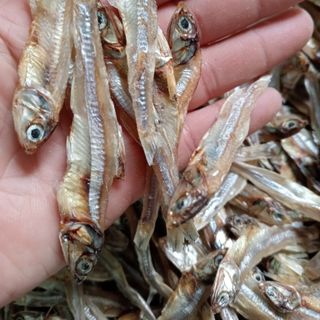Cá Cơm Khô (hay còn gọi là cá trỏng, cá chỏng, cá ruội) loại nguyên đầu, Cá biển Nghệ An - Size 1kg