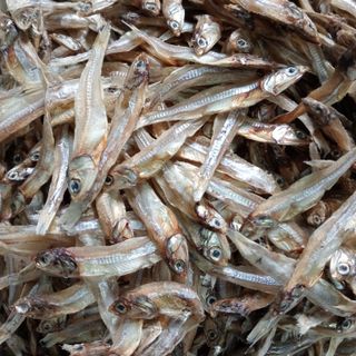 Cá Cơm Khô (hay còn gọi là cá trỏng, cá chỏng, cá ruội) loại nguyên đầu, Cá biển Nghệ An - Size 1kg