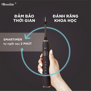 tìm đại lý cho bàn chải điện ssieeu hot brushie của nhà smilee,chiết khấu cao