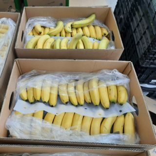 Chuối nam mỹ