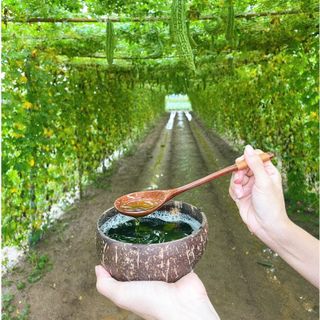 [Chính Hãng] Sữa Tắm Mướp Đắng Ả Đào Dành Cho Da Nhạy Cảm,Dùng Được Cho Trẻ Nhỏ Mộc Nhan Natural 350ml