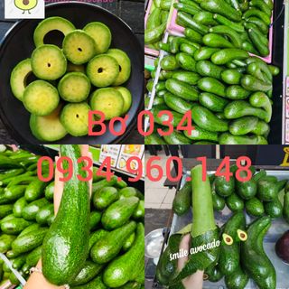 Bơ 034 -3,4 trái /1kg