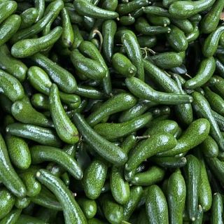 Bơ 034 -3,4 trái /1kg