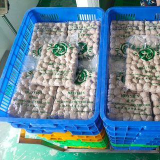 Heo viên Đài loan