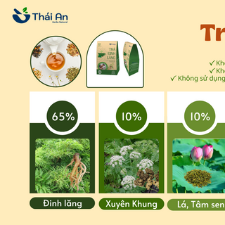 Trà Đinh Lăng 30 túi lọc * 4,2g