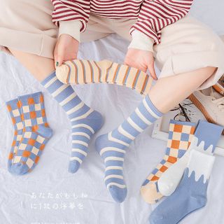 TÚI ZIP 5 ĐÔI TẤT CAO PHỐI CARO