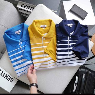 Áo Polo cổ bẻ PARPA in sọc 100% thoáng mát , Form rộng