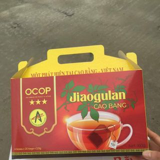 Trà Giảo Cổ Lam Cao Bằng (Túi lọc)