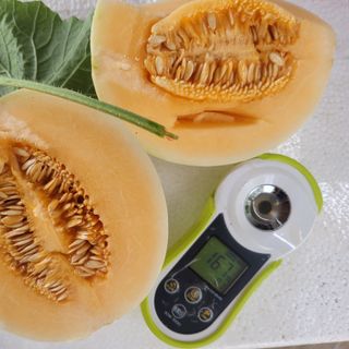 Máy đo độ ngọt (brix) điện tử SCM-100