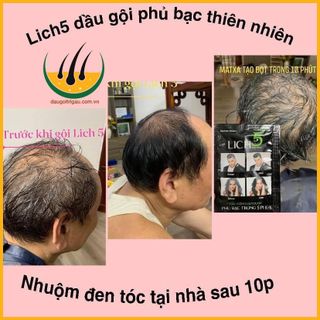 Dầu Gội Thảo Dược Đen Tóc Lich5 Hộp 10 gói cocayhoala
