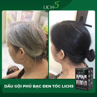 Dầu Gội Thảo Dược Đen Tóc Lich5 Hộp 10 gói cocayhoala