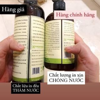 Dầu Gội Hà Thủ Ô 2in1 Giảm Rụng Tóc Bạc Tóc Cocayhoala