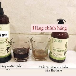 Dầu Gội Hà Thủ Ô 2in1 Giảm Rụng Tóc Bạc Tóc Cocayhoala