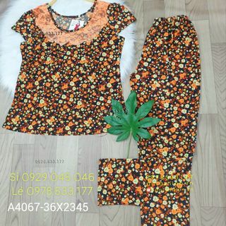 (60-67Kg) Sỉ đồ bộ trung niên Ati ép đá phối ren đẹp - A4067-36X2345
