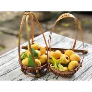 [GIÁ SALE] Bộ Quang Gánh Tre (Mini đến Đại) Trang Trí Tết🧧- ĐAN TRÀ Decor Mây Tre Đan
