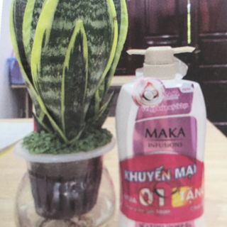 Sữa Tắm MaKe