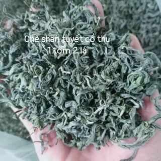 chè shan tuyết hà giang 1 tôm 2 lá
