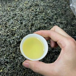 chè shan tuyết hà giang 1 tôm 2 lá