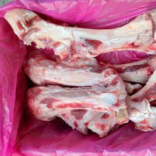XƯƠNG ỐNG GÂN KICOY MS71.72 giá sỉ