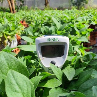 Bút đo độ dẫn điện EC đất HI98331 Hanna