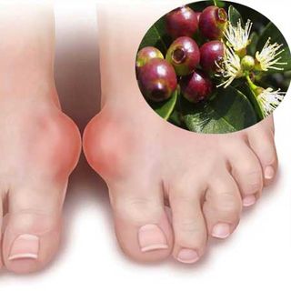 Nụ vối Nam Định