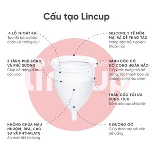 Cốc Nguyệt San Lincup nhập khẩu Mỹ