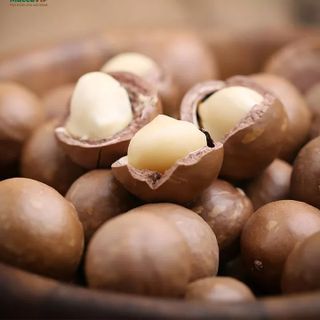 Hạt Macca nứt vỏ túi 500g. Giòn, thơm bổ dưỡng, tặng đồ khui inox