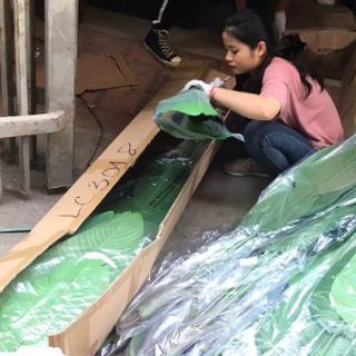 Sỉ lẻ cây giả giá sỉ -