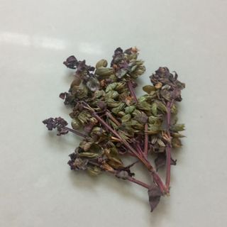 Hoa, Lá khô thiết kế resin, trang trí thiệp