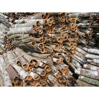 Quế,quế thanh yên bái, vỏ quế khô 1kg, trà quế, quế cây, quế thanh cạo vỏ