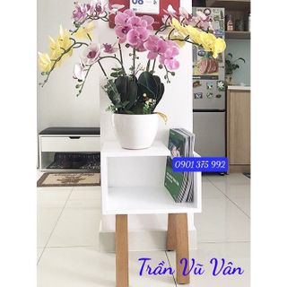 Kệ tab đầu gường hoặc cạnh sofa, 4 chân gỗ tự nhiên, decor xinh