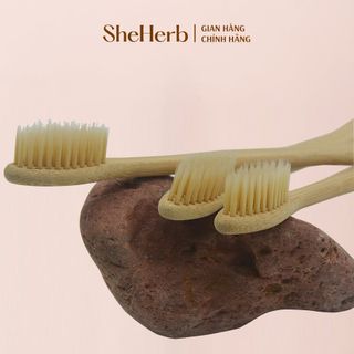 Bàn Chải Đánh Răng Bằng Tre Tự Nhiên Cao Cấp Bamboo Toothbrush